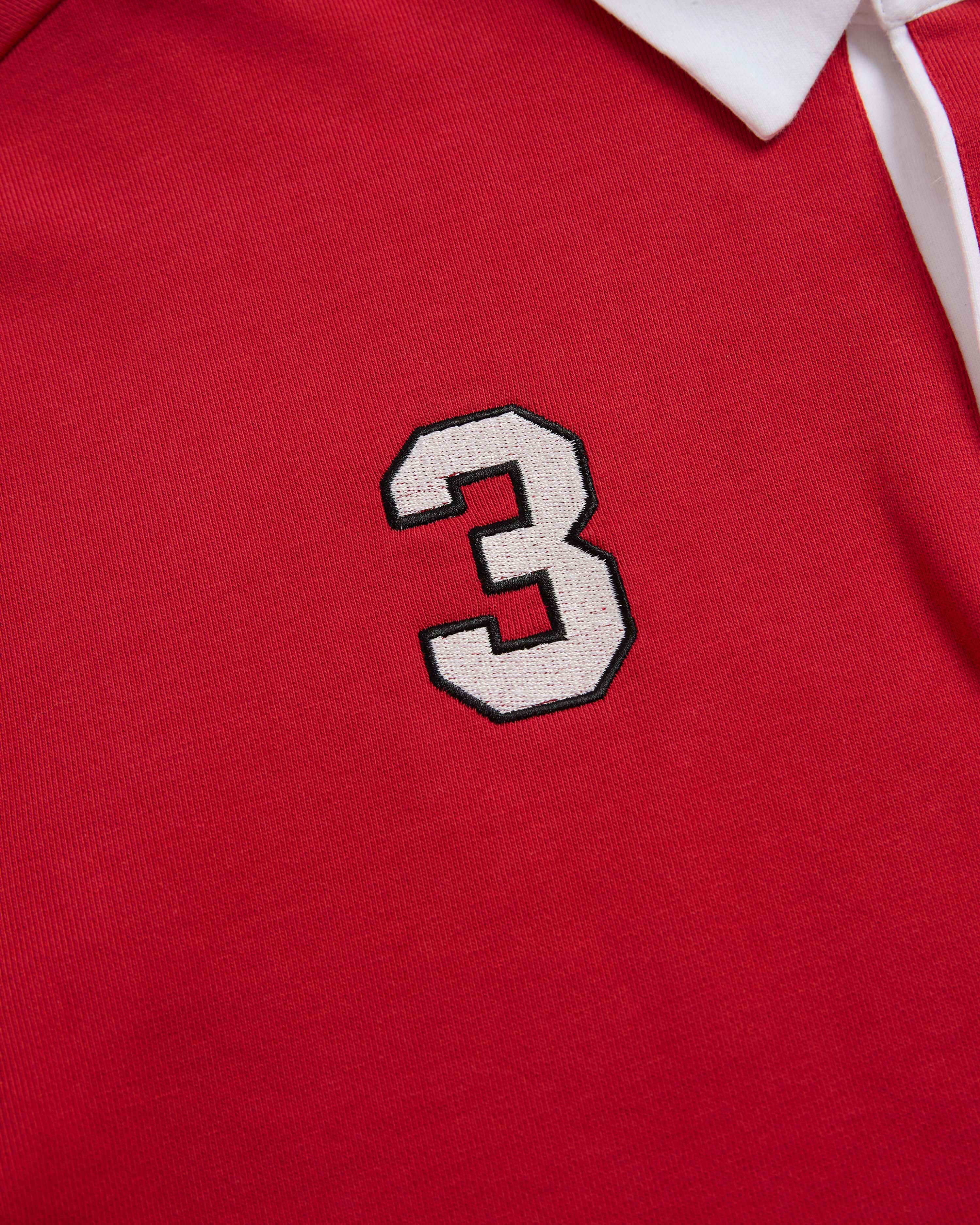 MEYERS MANX RUGBY - Image 14